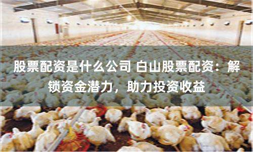 股票配资是什么公司 白山股票配资：解锁资金潜力，助力投资收益