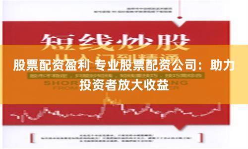 股票配资盈利 专业股票配资公司:助力投资者放大收益