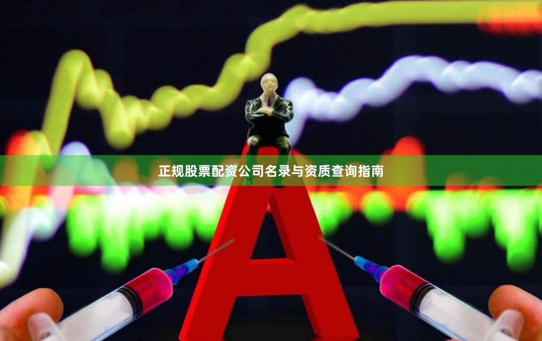正规股票配资公司名录与资质查询指南
